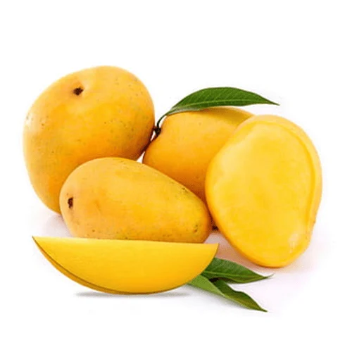 Mango Export